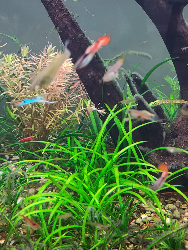 IMG_20251010_174449548