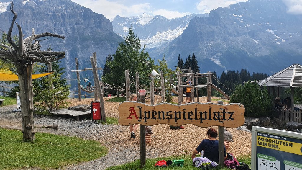 50 sombras del verde en Suiza y Alemania - Blogs de Suiza - SUBIDA AL FIRST- LAGO BACHALPSEE- BAJADA EN TROTIBIKE (6)