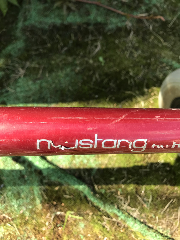 3697EC81-9ED8-44C5-936F-50F5D8FA10C7