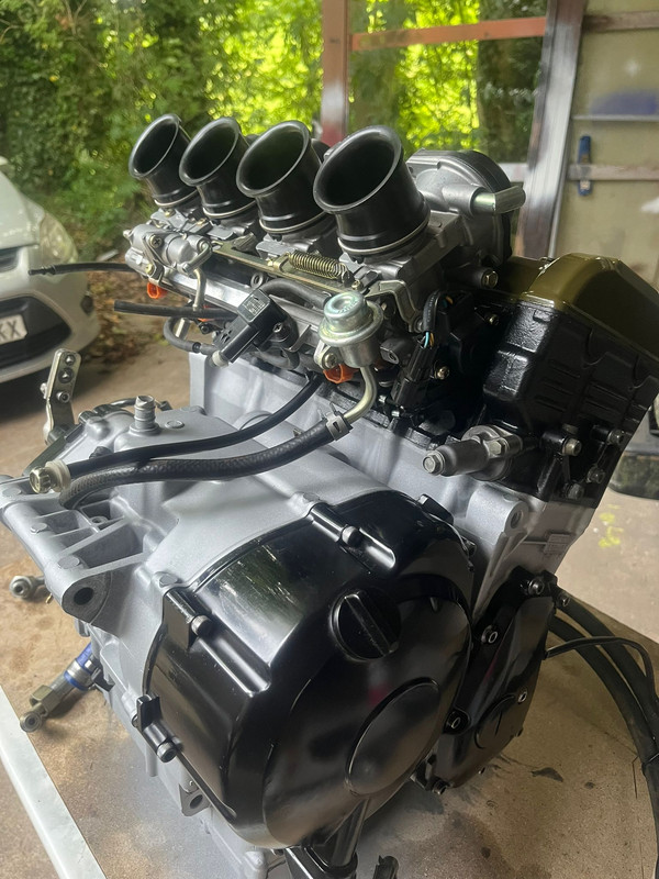 WhatsApp Image 2025-06-27 at 13.12.49 (1)