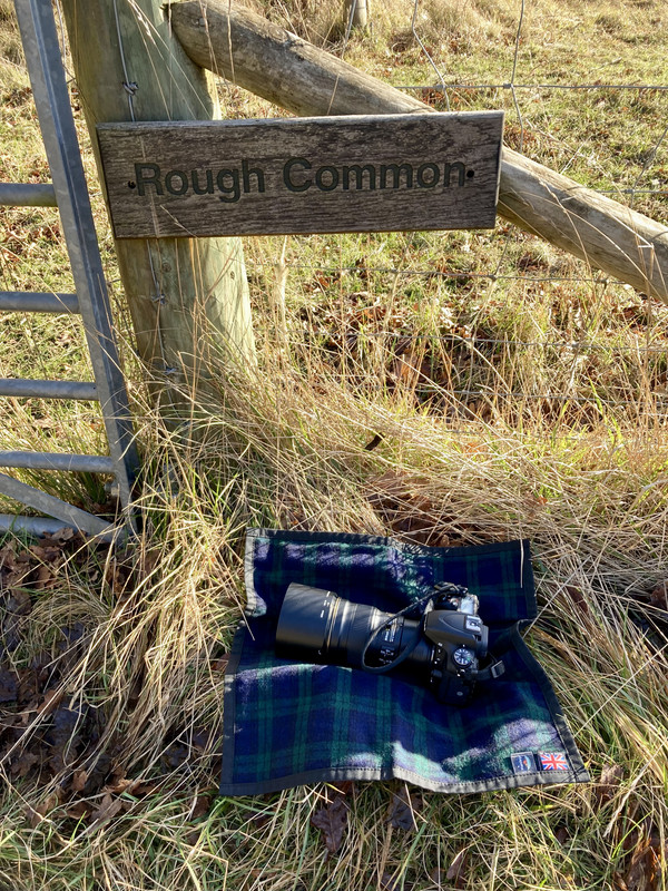 55CA4B83-16ED-40CF-81A0-F6855E2DEA47