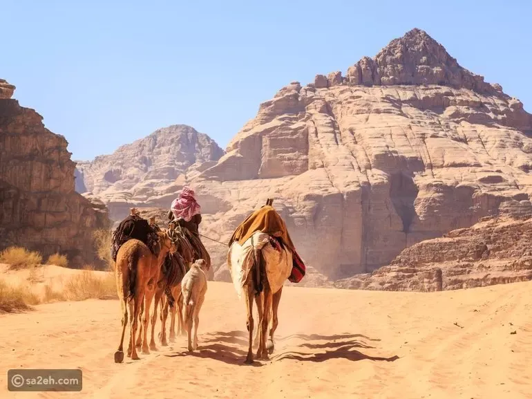 Camel tour landscape