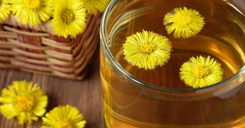 [Изображение: photo-2025-12-15-02-13-17.jpg]