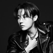 Hobi