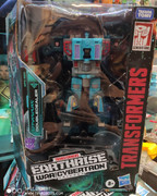 108960678-3112559218791830-2917348718348227412-o