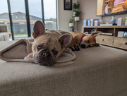 PXL-20250907-013430718