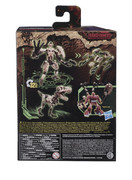 TF-Kingdom-Official-Pics-005