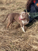 IMG_20230416_015735_035