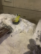 ABD6B89A-374D-406B-87C0-20D107CD5CD5