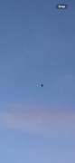 IMG-0540