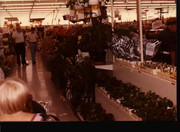 FB_IMG_16611071543536766