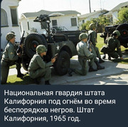 https://i.postimg.cc/4nvj29hL/photo-2026-06-09-03-47-30.jpg