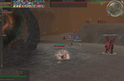 dv.jpg