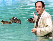 sopranos-tony-ducks