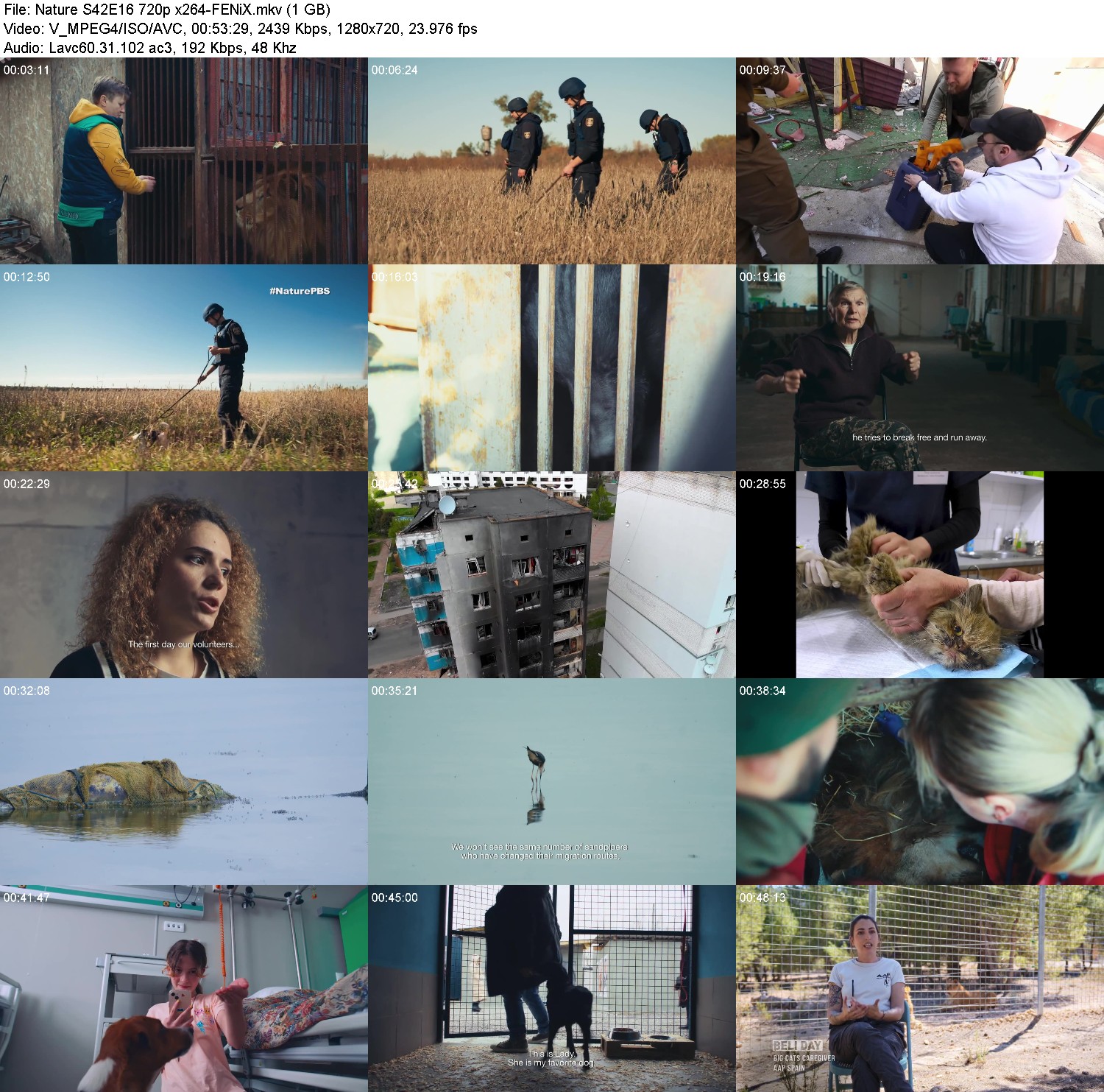 [Image: dmu8of7b6z6s.jpg]