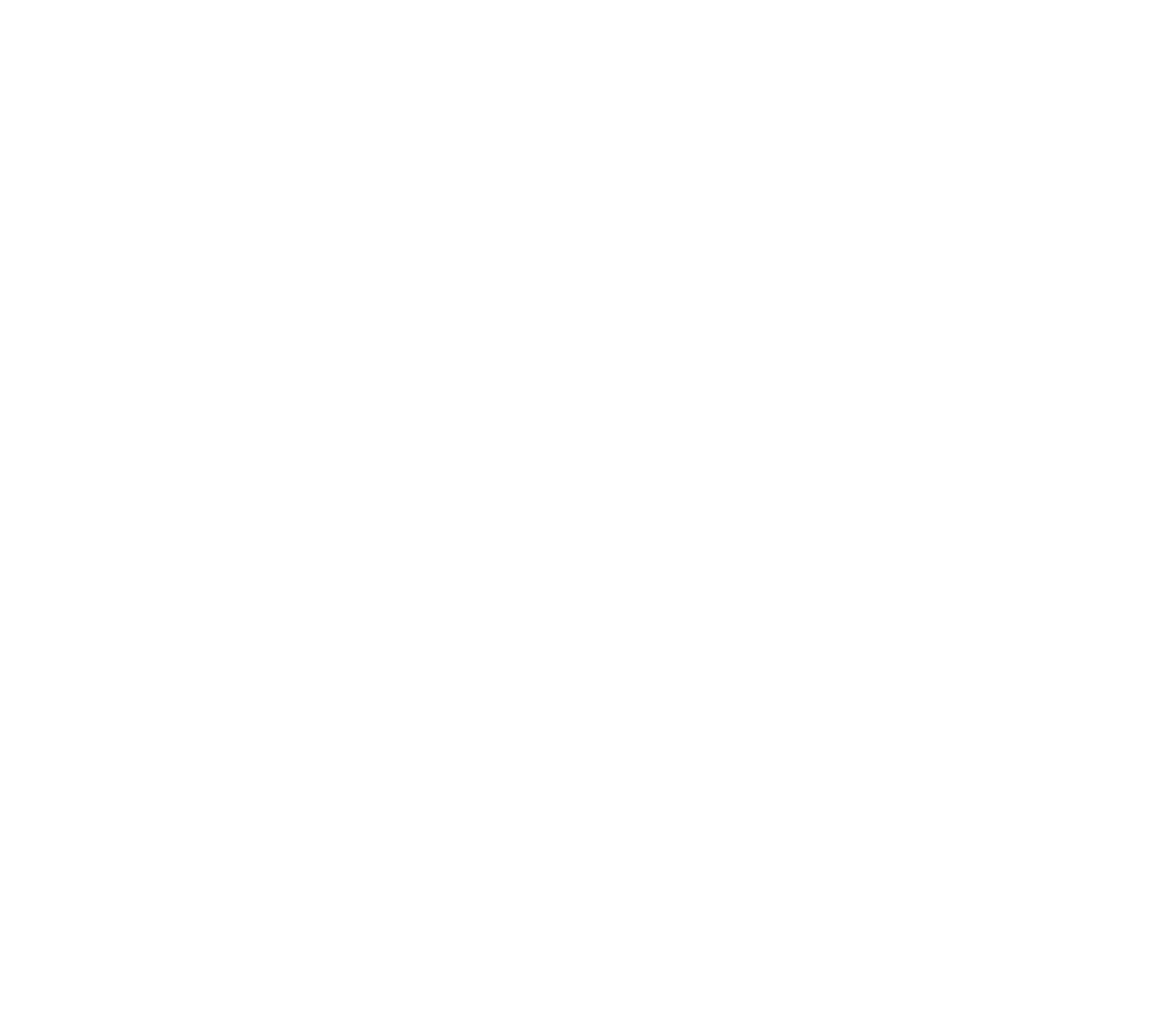 The Direct Expo