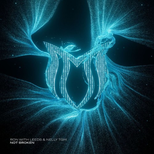 Ron With Leeds & Nelly Tgm - Not Broken (2026) MP3