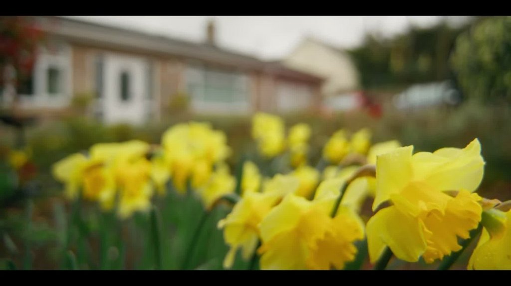 [Image: cg7qu3xb05sp.jpg]