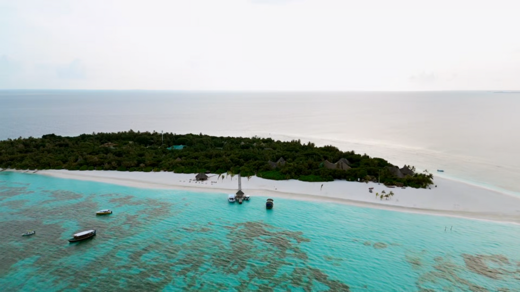 [Image: 543gwuslzt3e.png]