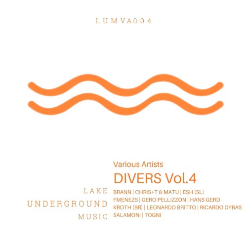 VA - Divers, Vol. 4 (2026) MP3