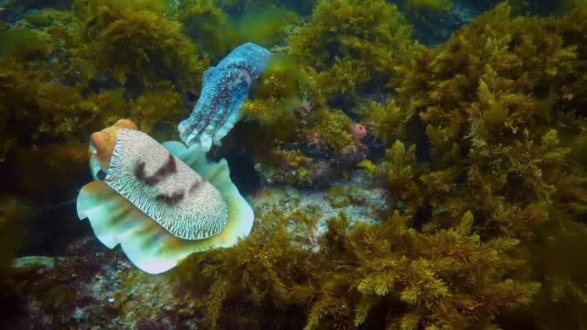 [Image: 5zr6cr2evrp6.jpg]