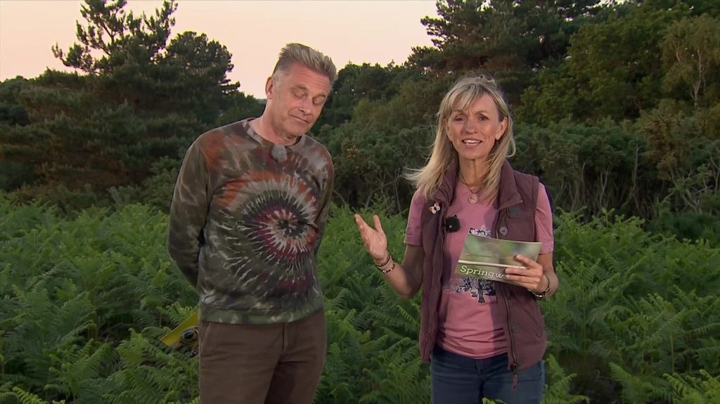 [Image: o6rdos2z5a1l.jpg]