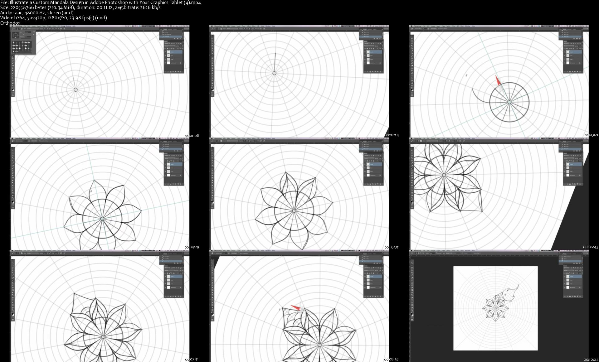 [Image: Illustrate-a-Custom-Mandala-Design-in-Ad...h-Your.jpg]