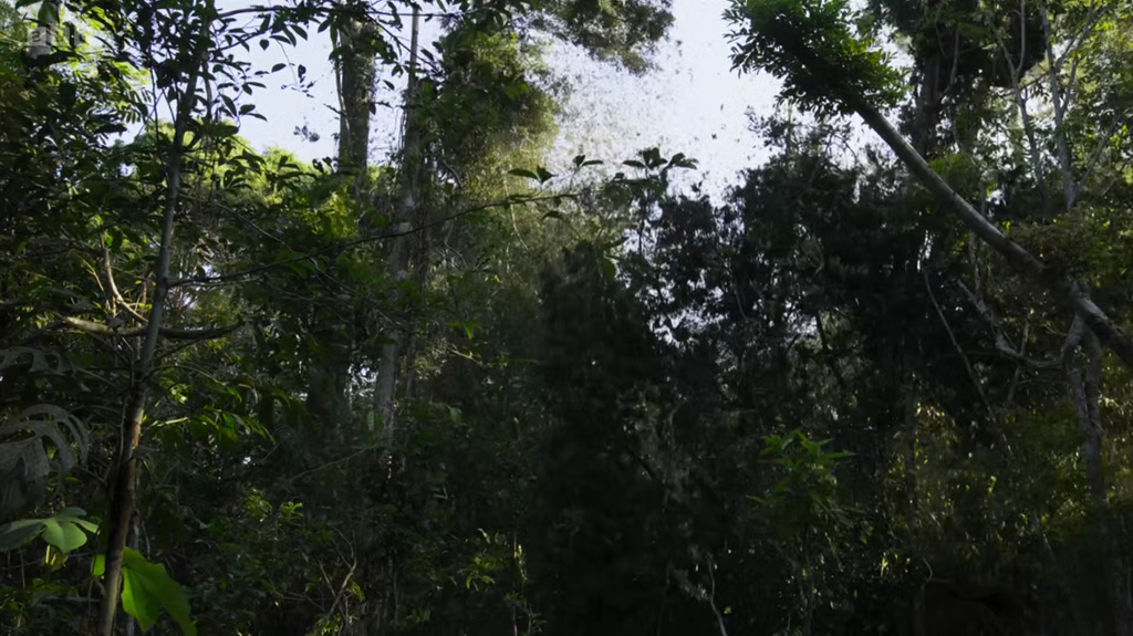 [Image: g4m7m15ijqma.png]