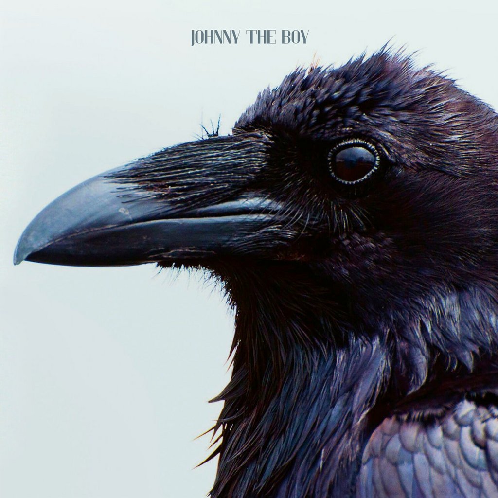 [Image: kr47uwub4wx6.jpg]