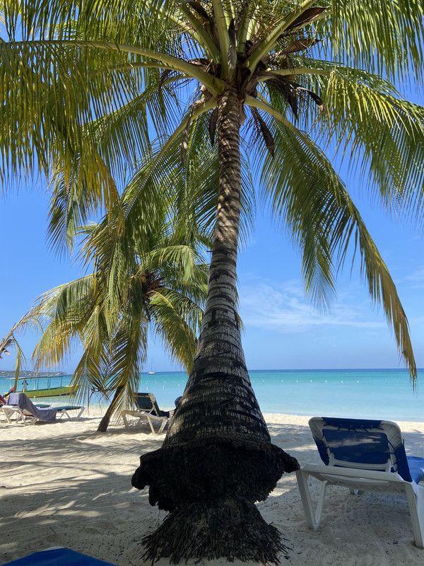 C933F6AC-C25B-4300-BEDB-082864E1B468