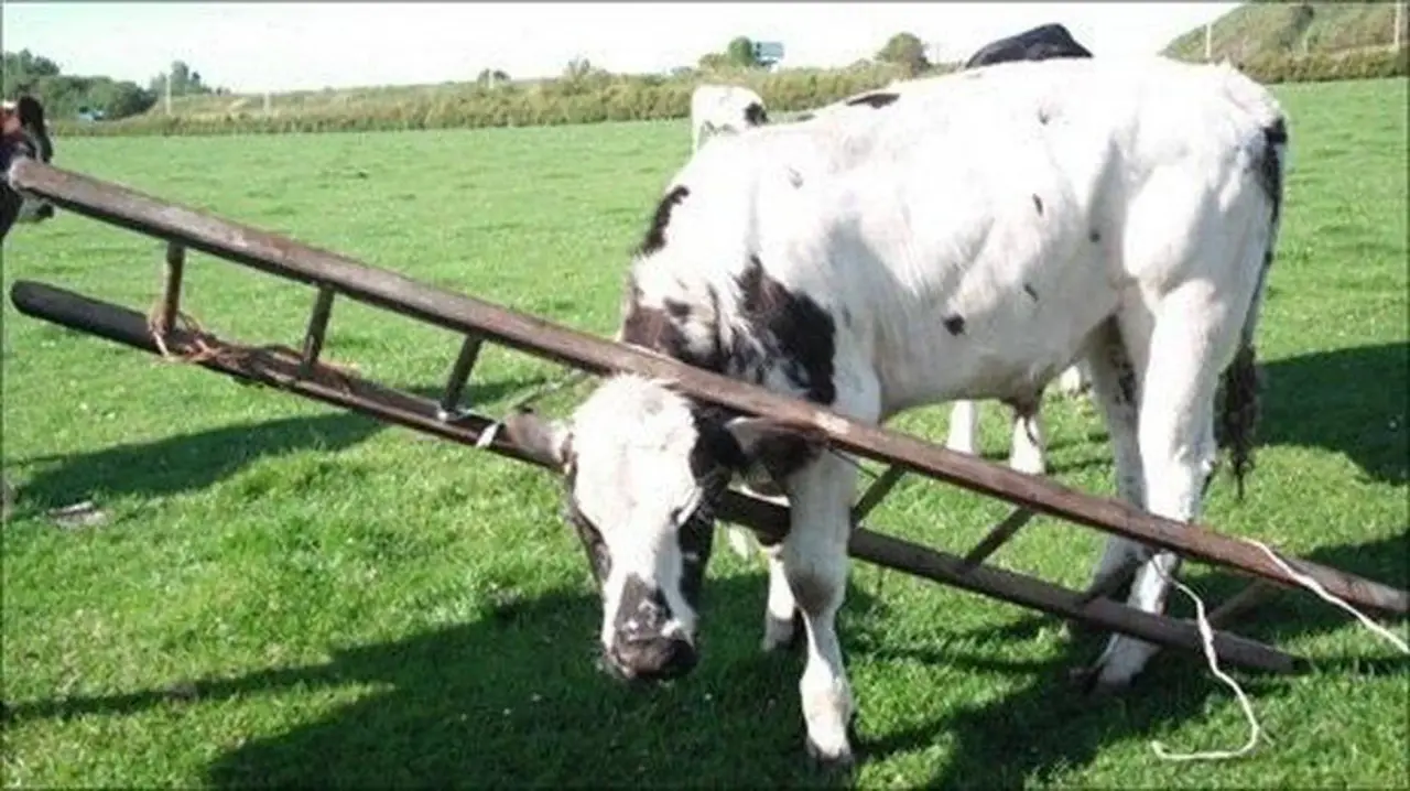 B3D9C93B-1DF1-4C67-A1F9-17E950DA60B4