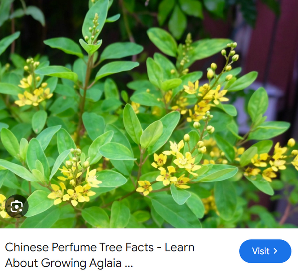 [Image: 2024-07-24-190905.png]