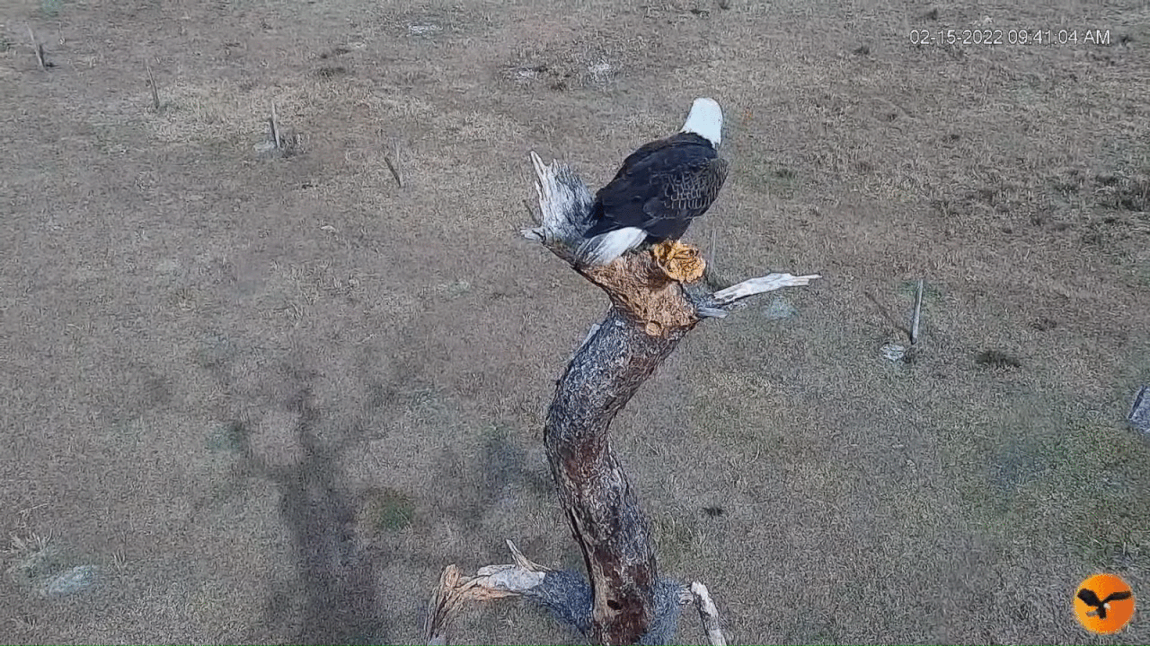 Webp.net-gifmaker (8)