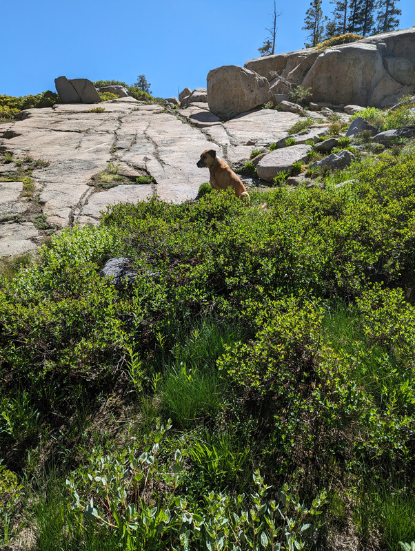 PXL_20250709_224530390