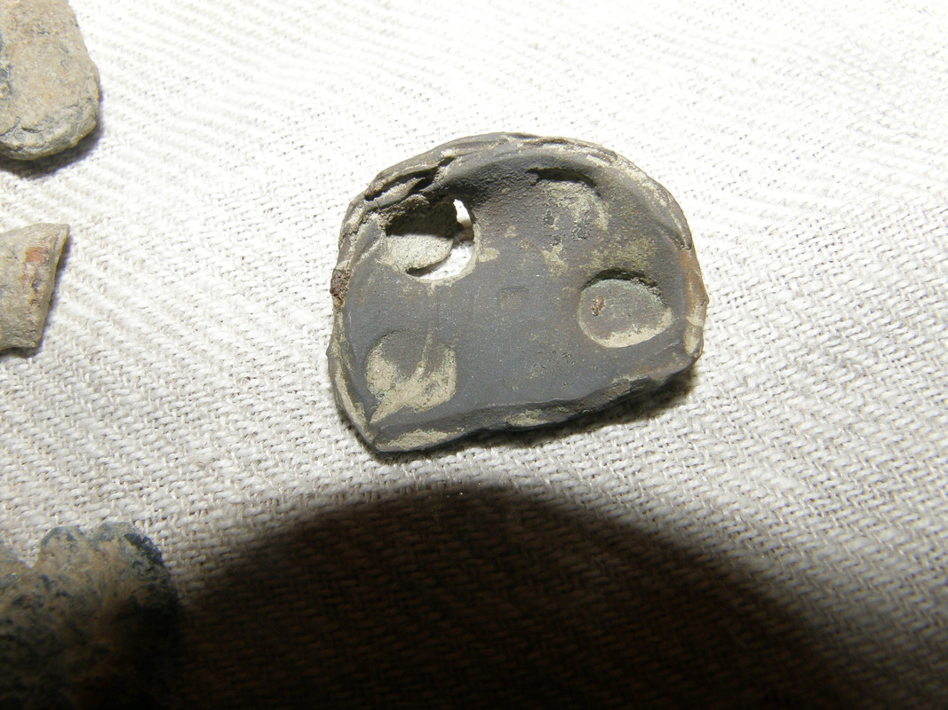 P1010026