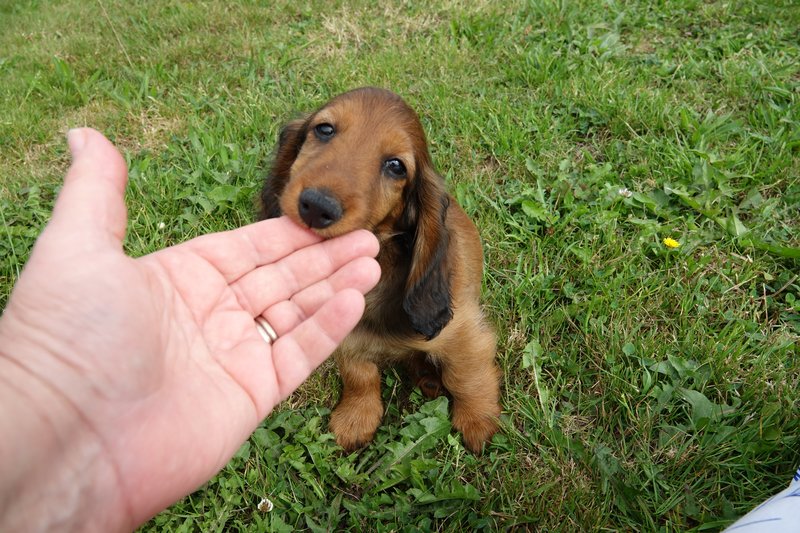 [Image: DSC00903.jpg]