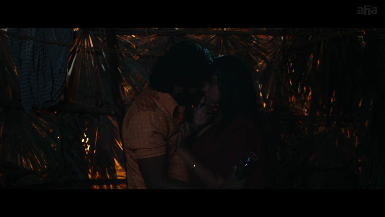 vlcsnap 2026 01 21 17h12m57s498