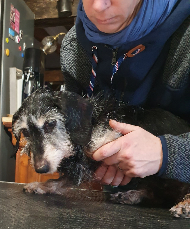 [Image: 20210204-161118.jpg]