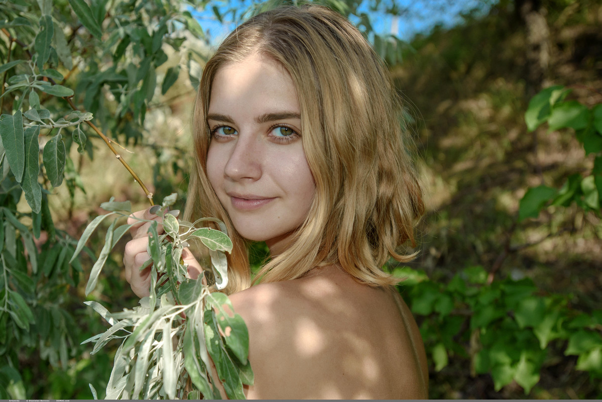 Domai_Artemida-6_Artemida_high_0049