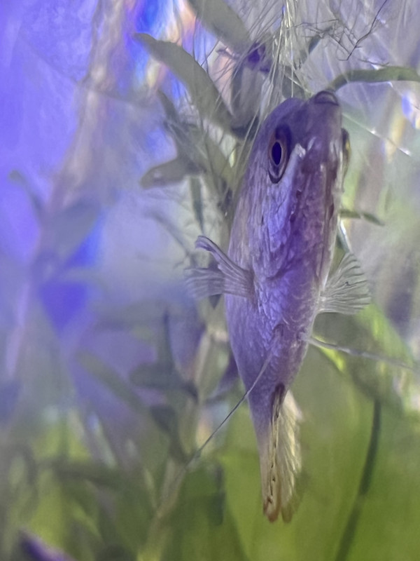 7110A899-57A6-468D-957A-D22A74A76451