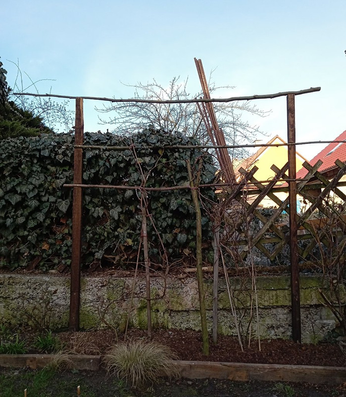 IMG_20240329_065348253