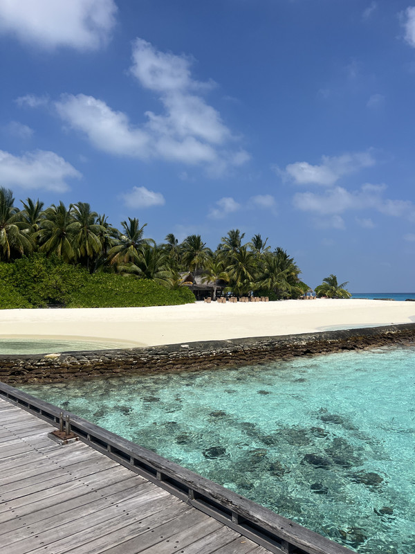 3F38BD7F-70A4-4ED2-A874-C630E098BB8C