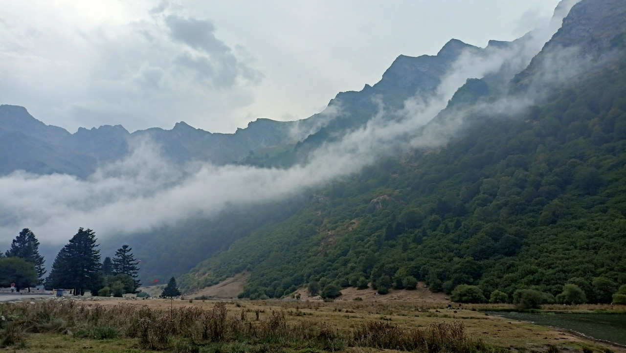 IMG20250818171532 (Large)