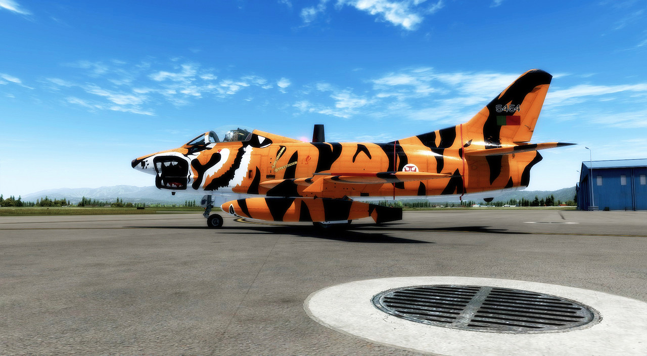 D101.jpg