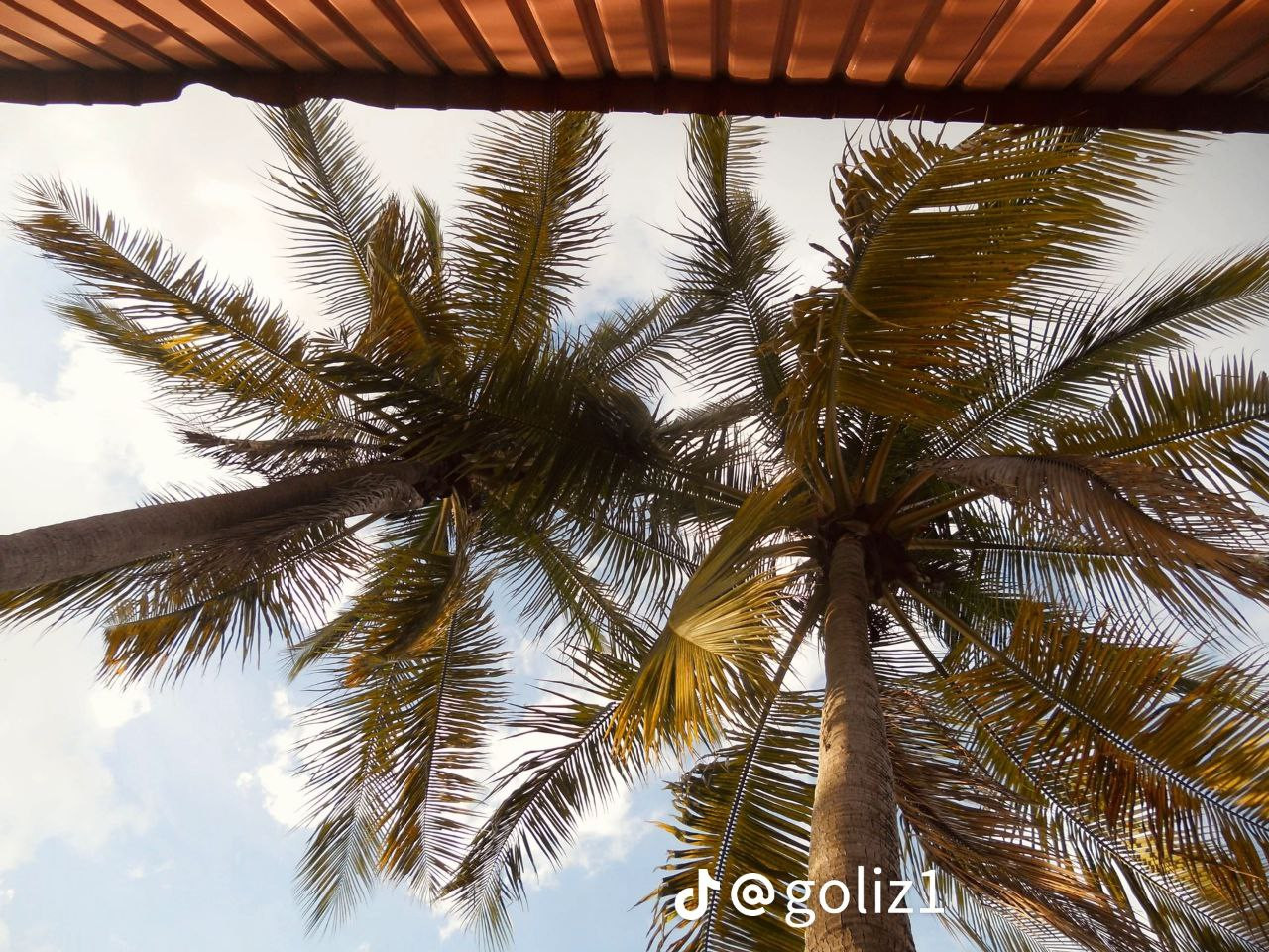 photo 4 2026 01 16 22 14 01