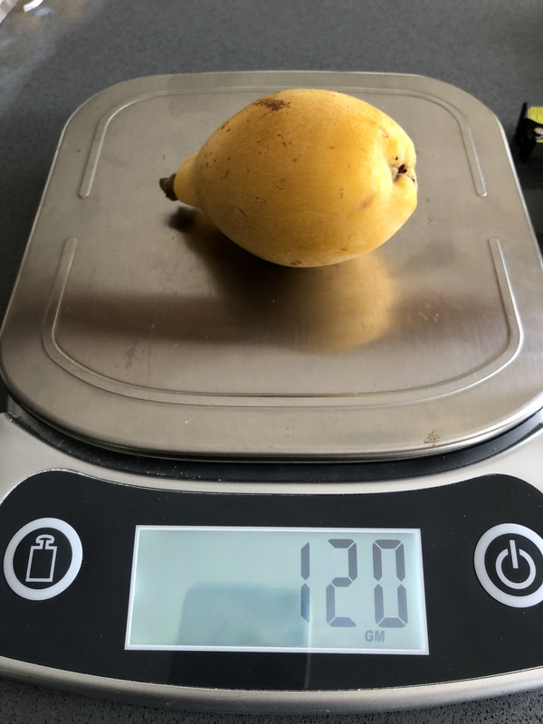 02EECE36-294B-4E8D-BB95-153AF0AC788D