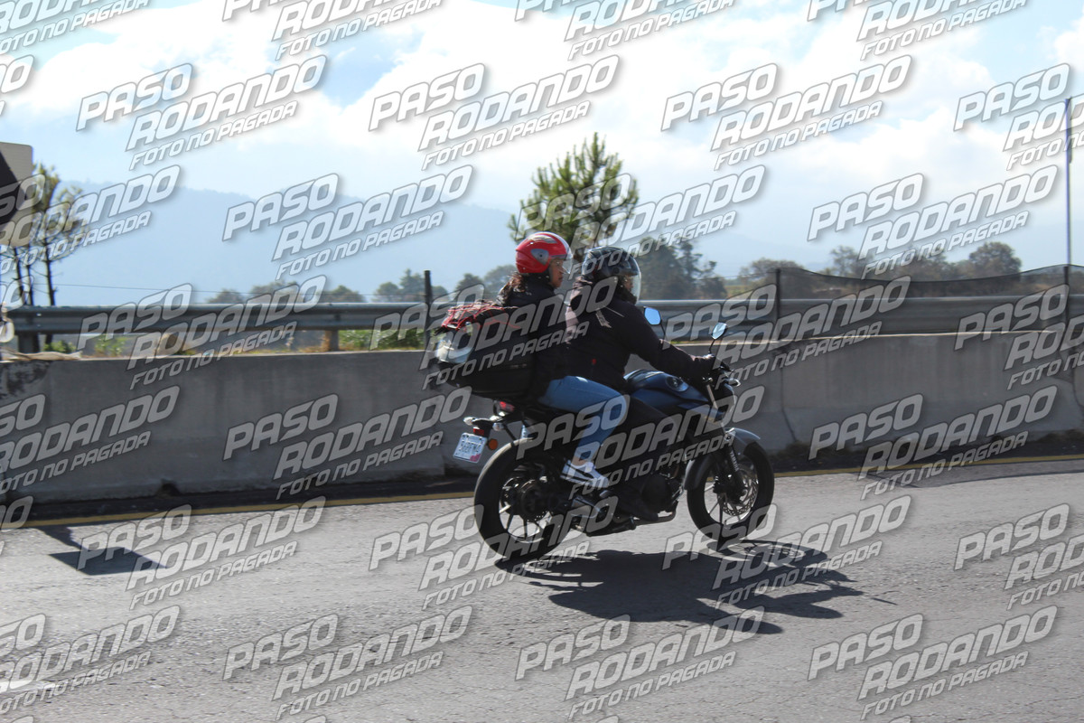 IMG 7986 wm 71851 5 watermarked — Postimages