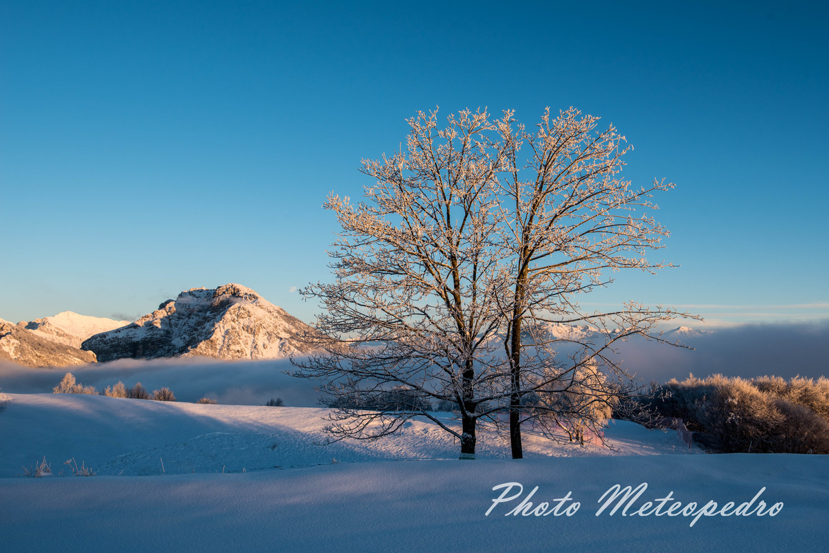 After the snowfall (6)