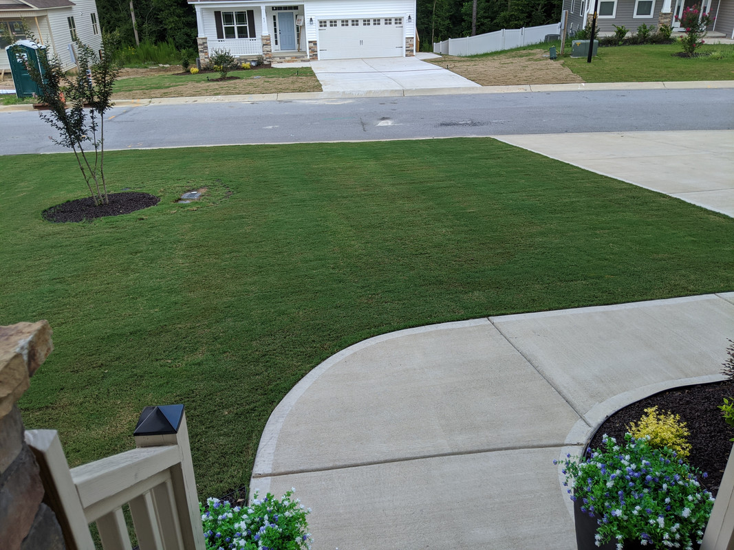 MVIMG_20200729_162226