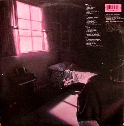 Planet P Project - Pink World (1984) [2LP | Vinyl Rip 24/192] Lossless